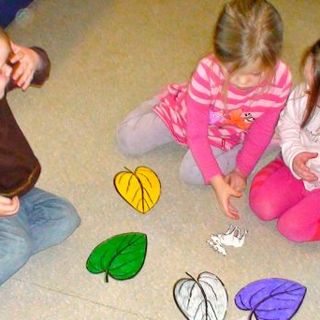 Hvíti elgur hvar ert þú?