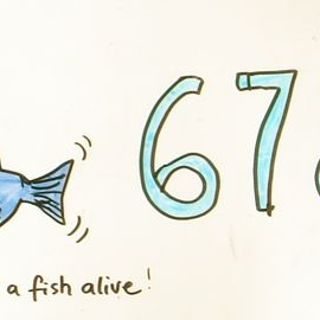 Once I caught a fish alive