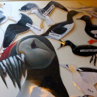 Lundi var með 10 síli