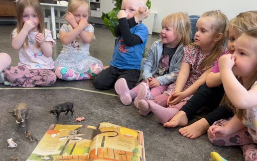 Suss! Barnið mitt sefur