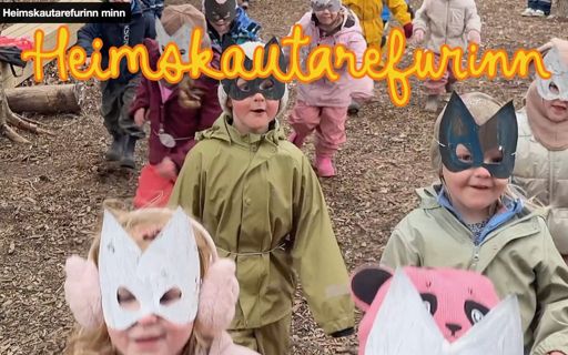 Heimskautarefurinn minn